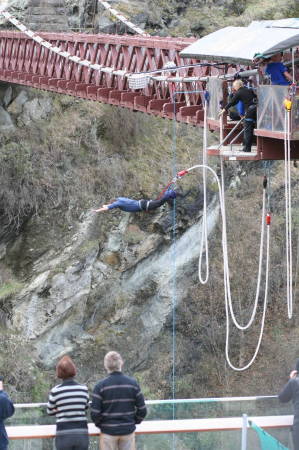 bungy3