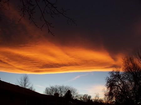 Colorado Bronco sunset