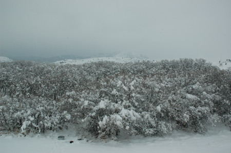 Our Backyard View in Utah