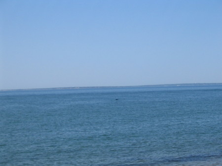 Vineyard Sound #1