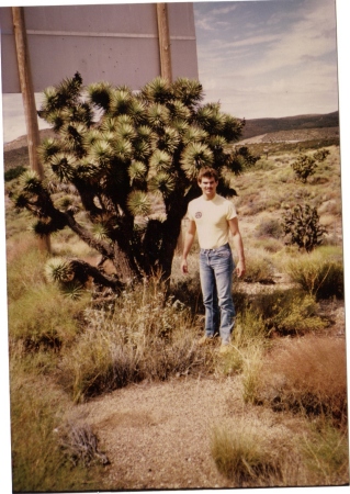 Desert In Arizona, 1984