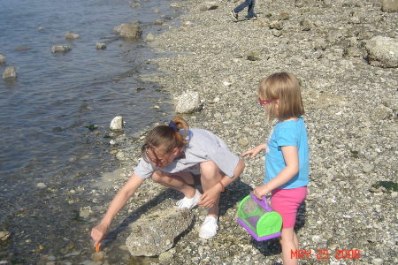 collecting crabs