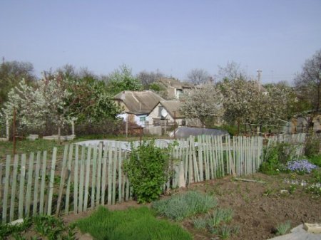 village of Balabanovka outside of Nikolaev