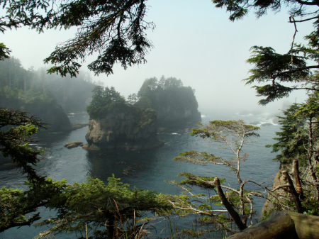 Cape Flattery