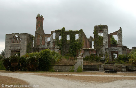 Cumberland Island