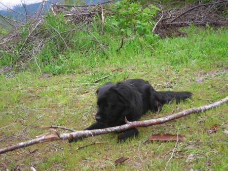 Duke enjoys the outdoors