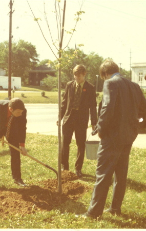 Senior Class Plants Tree