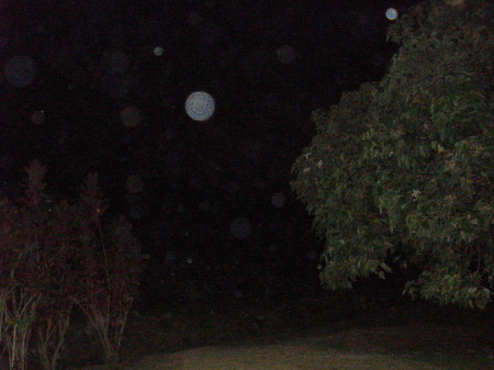 Bural Site Ghost Orbs, Hawaii