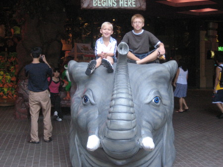 Jacob and Cole Alligator Farm, St.Augustine Fl