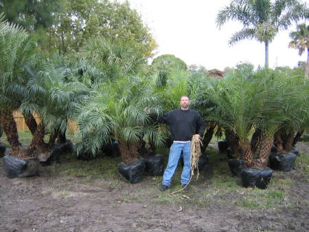 Me and my palmtrees