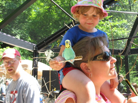 Bird training at the Zoo