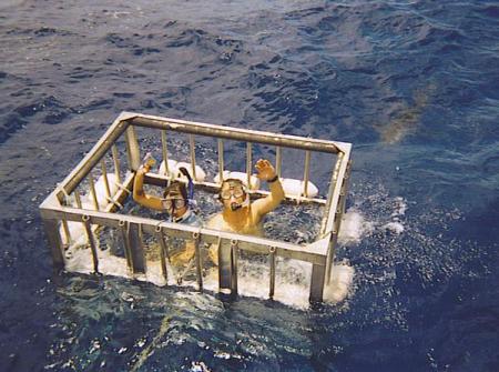 Shark Cage - North Shore, Oahu