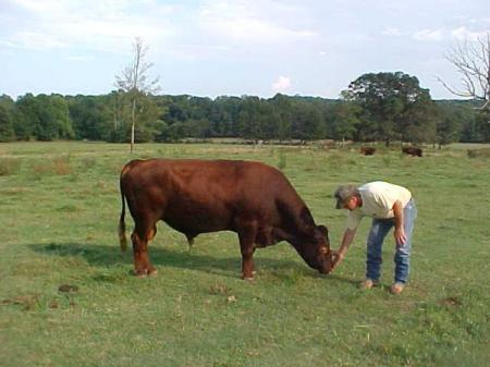 Jay and his bull Oliver