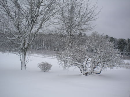 Winter of '09 in Perry,Maine