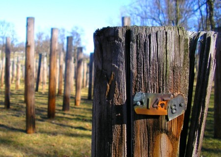 Baby telephone poles