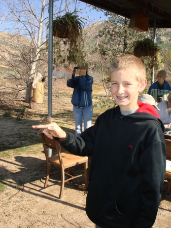 trevor bird banding