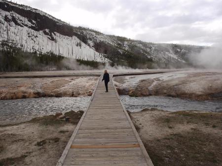 Geyers in Yellowstone National Park.