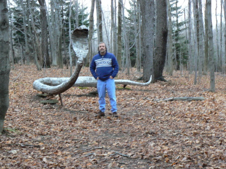 Griffis Sculpture Park in NY