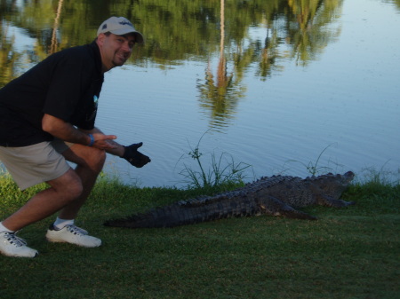 alligator in mexico