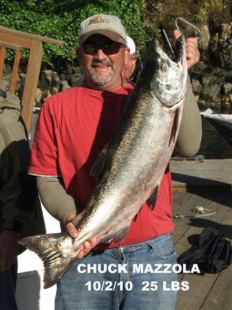 Chuck Mazzola's Classmates® Profile Photo