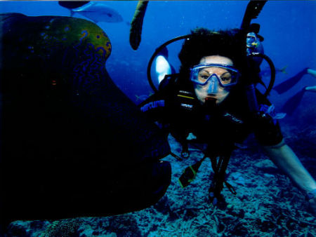 Diving with "Wally" at the Great Barrier Reef