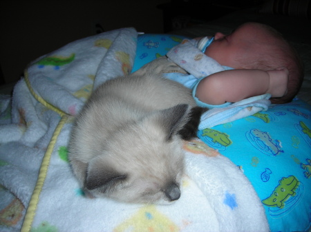 Colin and our new kitten Dara