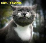 The BEST Vampire pic EVER