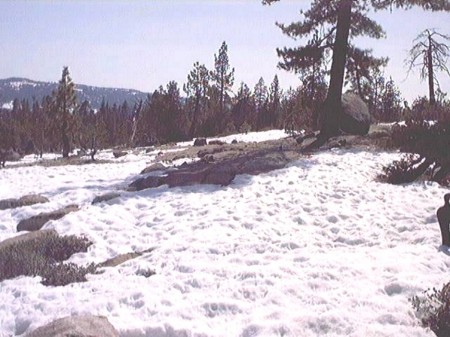bear valley scenic melts 4 10 2004