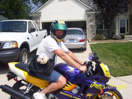 takn da dog 4 a spin