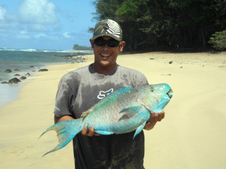 We watched this guy catch this "Parrot Fish"