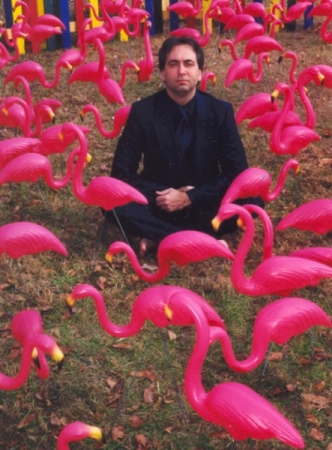 flamingo king