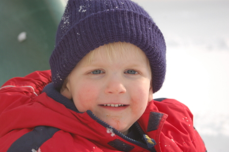 Zander in the snow