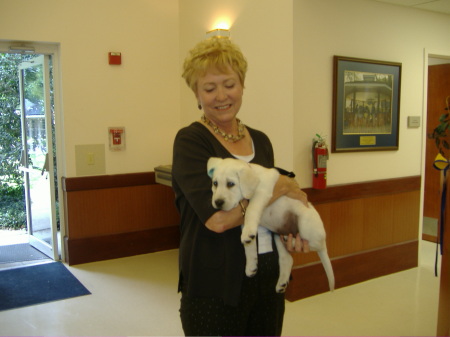 Puppy at Canine Companions for Independance