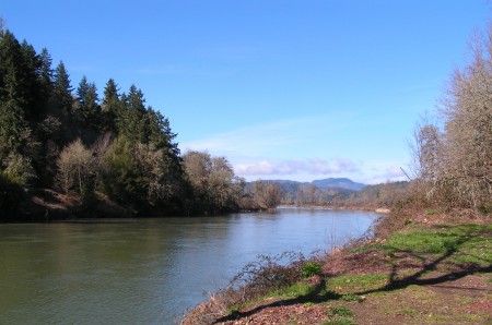 The Main Umpqua