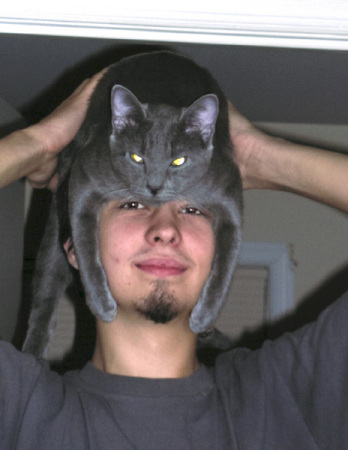 the cat is a hat