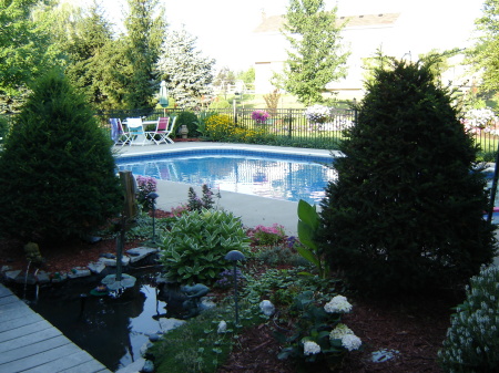 Our garden and pool