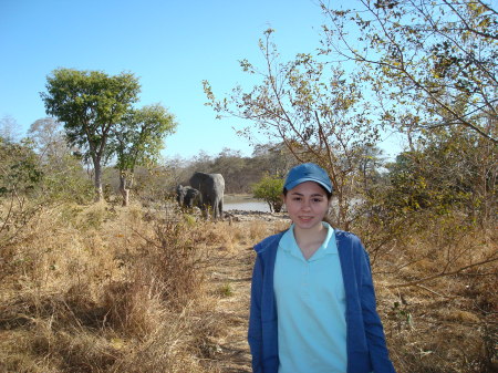 Nazinga safari