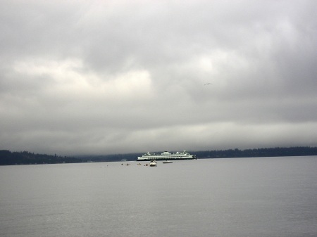 Swimming Across Puget Sound