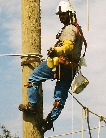 Up on a pole