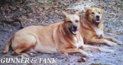 gunner & tank