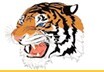 Rockdale High School Logo Photo Album