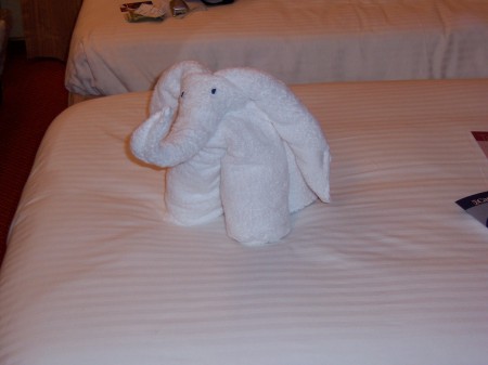 cute towel elephant or...