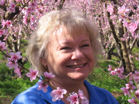 blossoms in dinuba, 2008