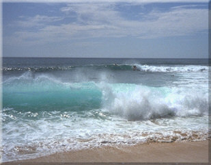 Cocoa Beach Surf