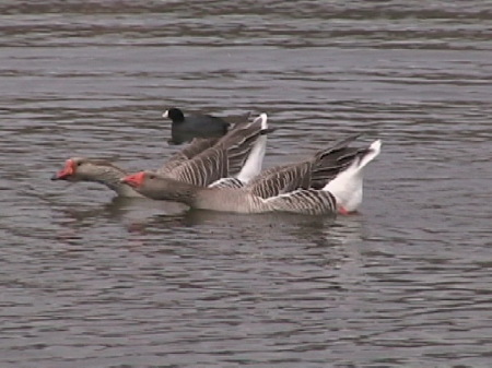 These Guys Were Arguing