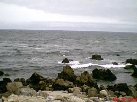 Monterey Bay Mar 2008