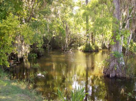 Everglades Adventure