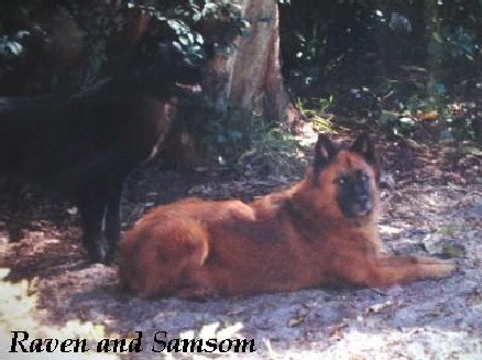 raven and samson