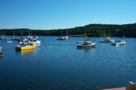 Cutler Harbor Maine 2010