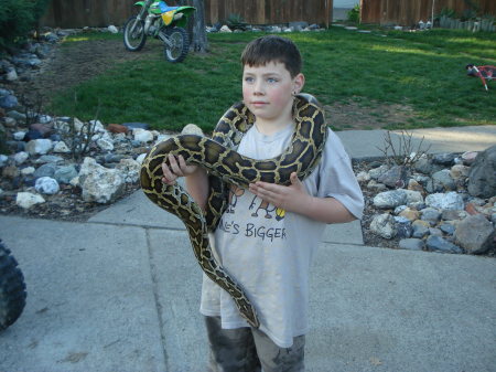 Austin and the Python